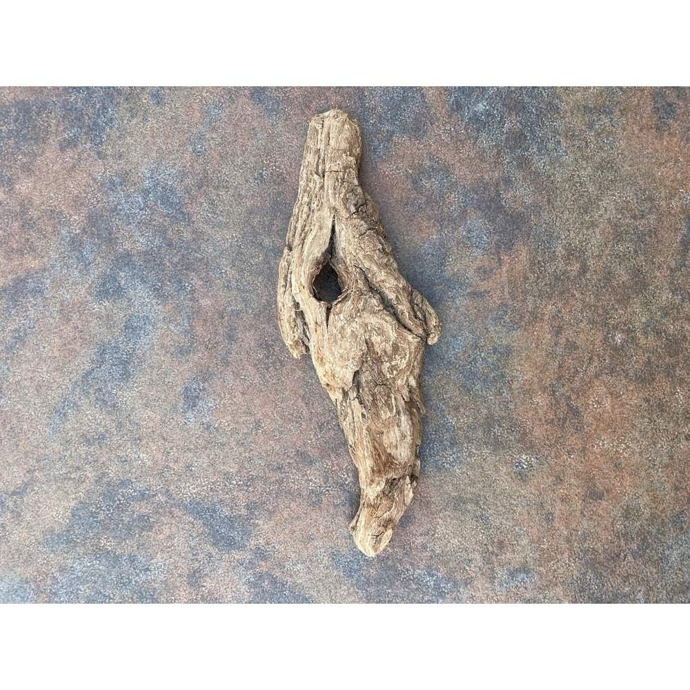 Natural Driftwood for Plants Terrarium Taxidermy Art Projects